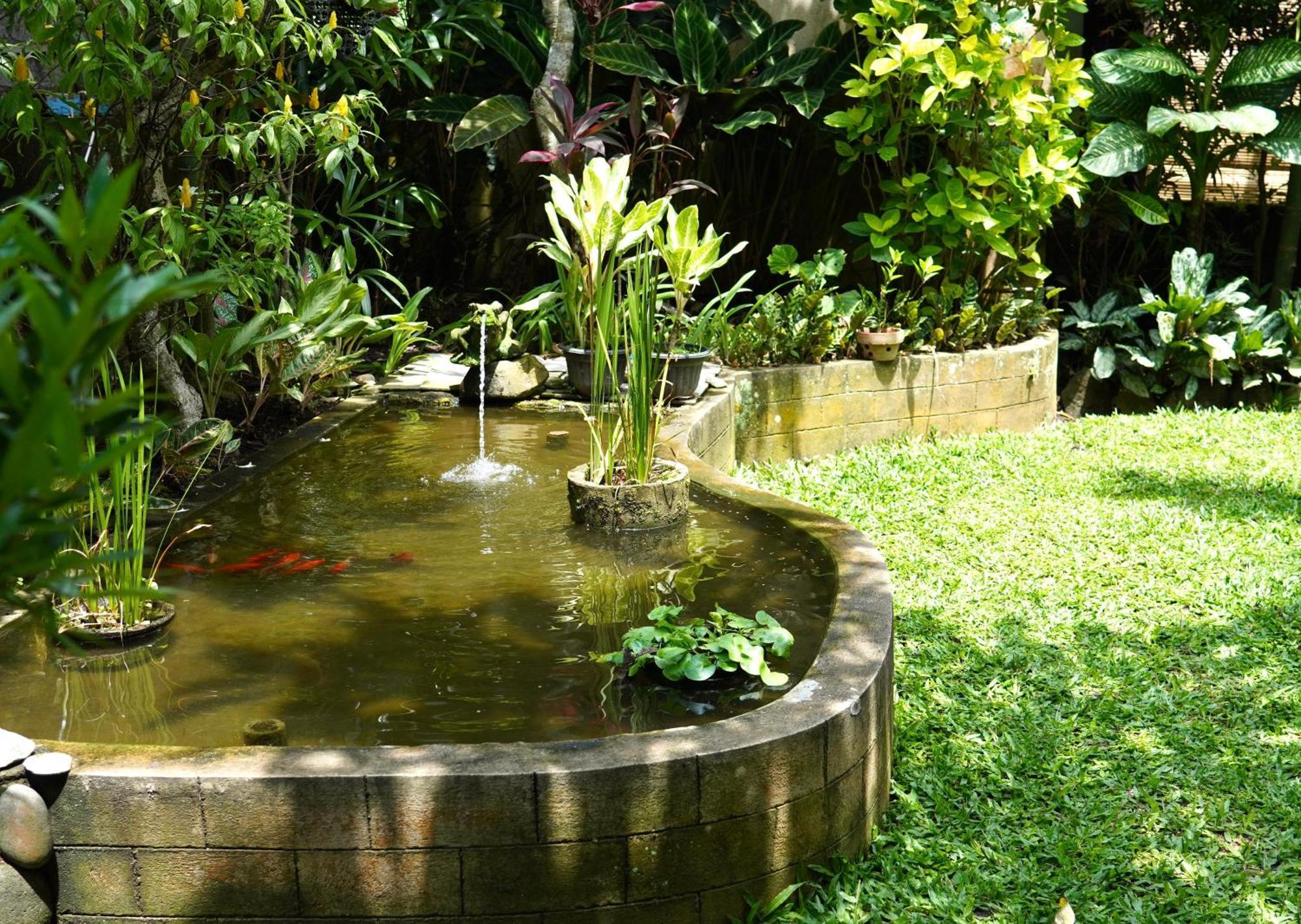 Chandra House Bed & Breakfast *