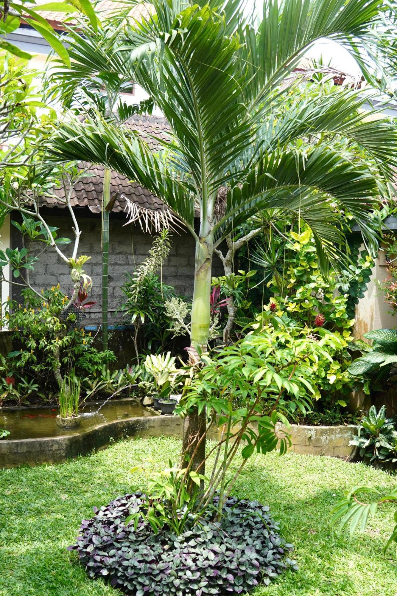 Chandra House Ubud (Bali)